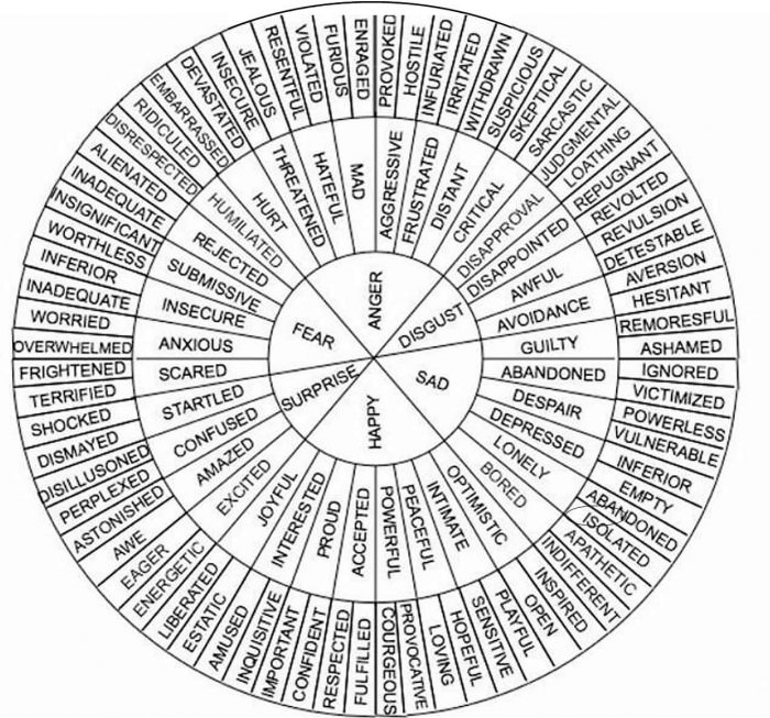 Emotion Wheel